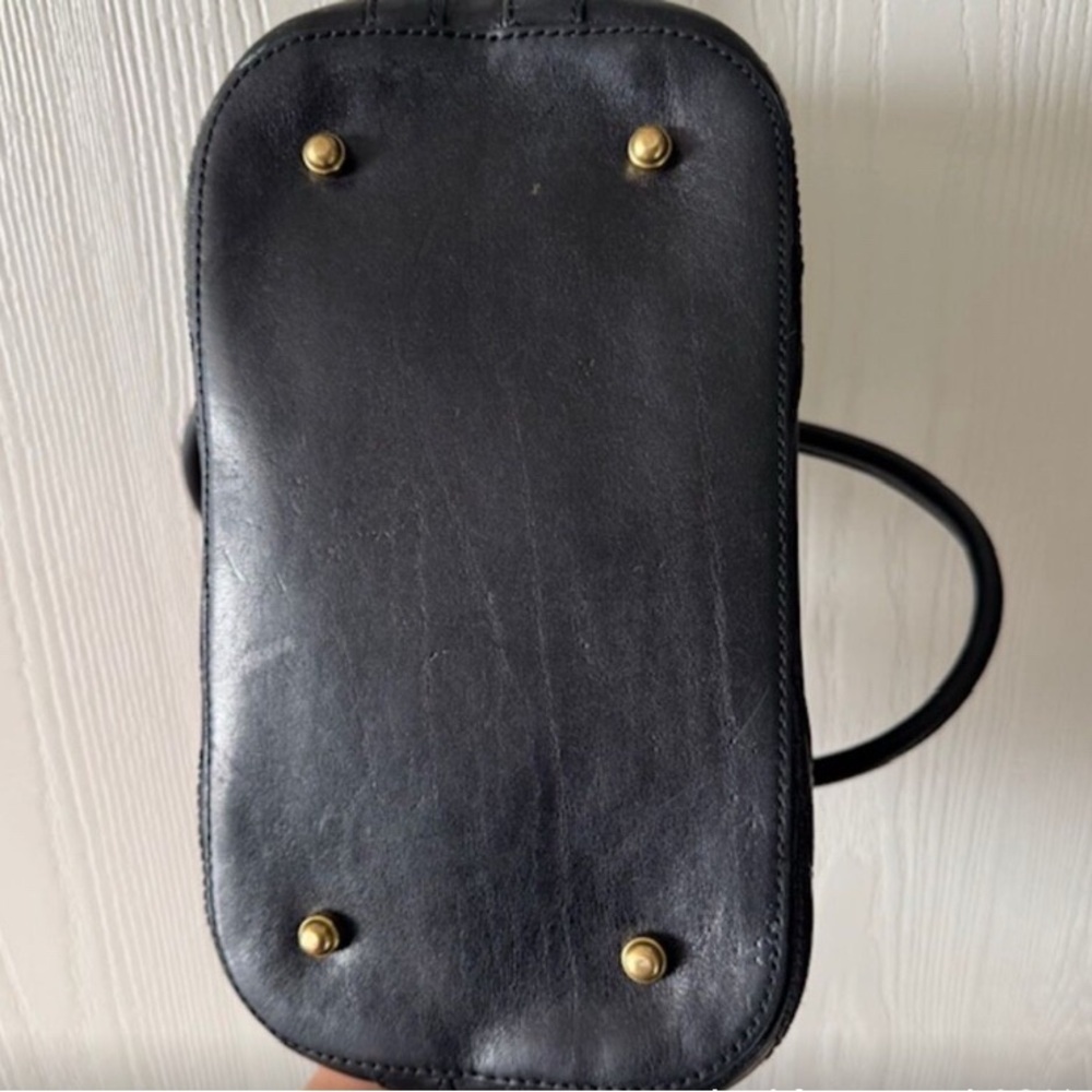 Black Brahmin Excellent - Picture 4 of 5